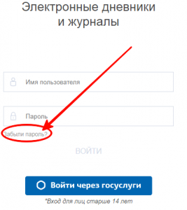 Электронный журнал Барс 33 Владимирской области: вход в систему для ...